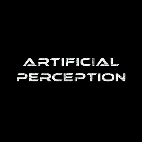 Artificial Perception
