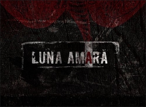 Concert Luna Amara in club VOX din Suceava