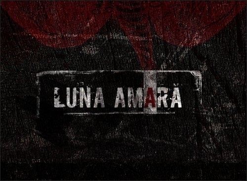 Concert Luna Amara in Club Zodiar din Galati