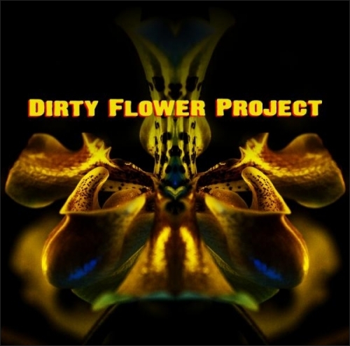 Dirty Shirt si Magnolia sau Dirty Flower Project