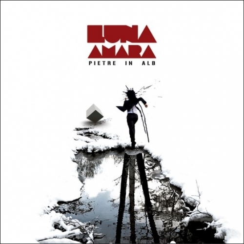 Noul album Luna Amara - Pietre In Alb este aproape de finalizare