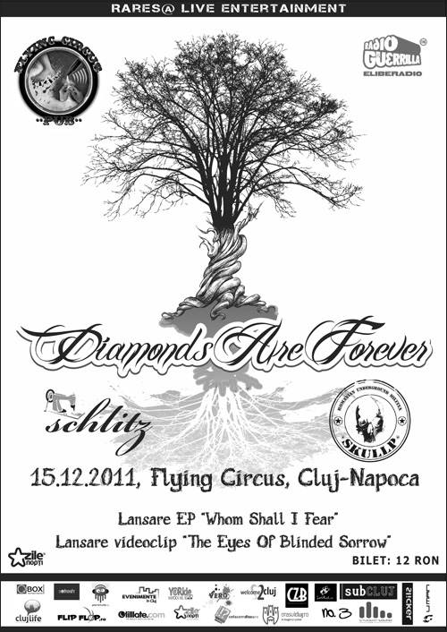 Concert Diamonds Are Forever in Flying Circus Pub Cluj Napoca