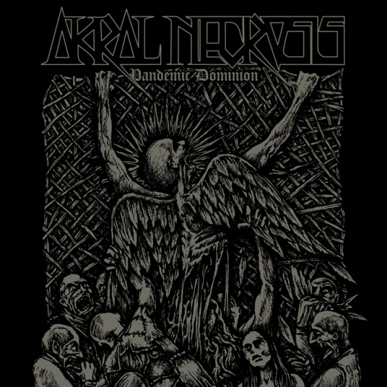 Auditie oficiala a albumului de debut Akral Necrosis miercuri in Private Hell