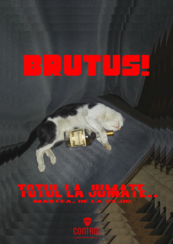 Party w BRUTUS in Club Control din Bucuresti