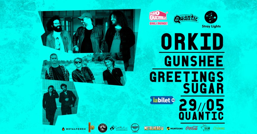 Concert Orkid, Gunshee si Greetings Sugar in club Quantic