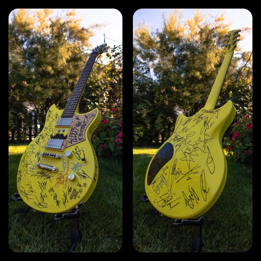 2. Licitația caritabilă pentru Fur-Ever Friends