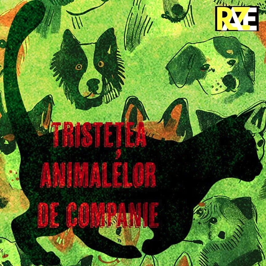 RAZE lansează T.A.C. (Tristețea Animalelor de Companie)