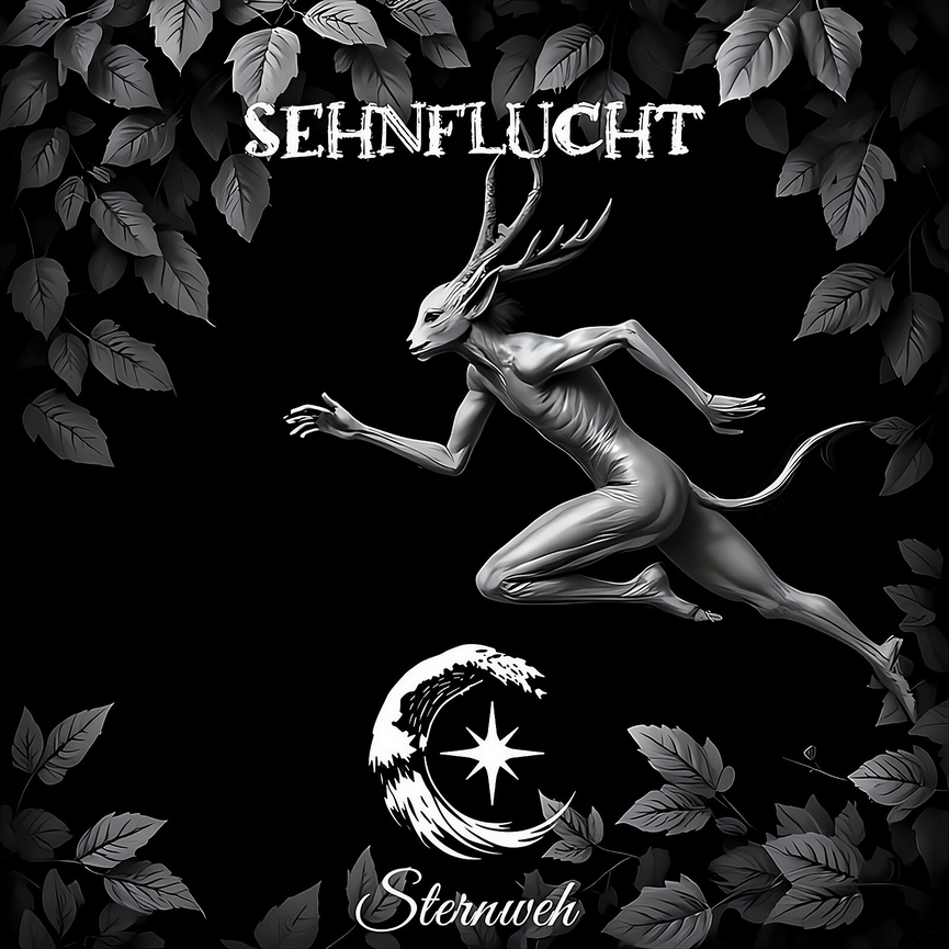 2. Sternweh lanseaza un lyric video