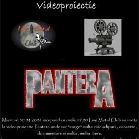 Videoproiectie Pantera