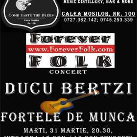 Concert DUCU BERTZI si FORTELE DE MUNCA