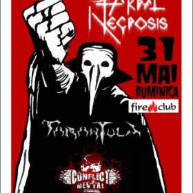 Conflict Mental, Tarantula, Akral Necrosis in Fire Club