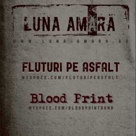 Concert Luna Amara, Fluturi pe Asfalt si BloodPrint in Irish Music Pub
