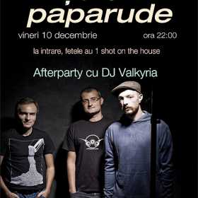 Concert Suie Paparude in Cage Club