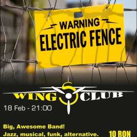 Concert Electric Fence in Wings Club