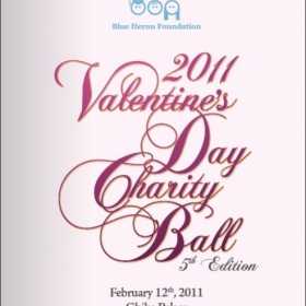 Valentine's Day Charity Ball 2011 la Palatul Ghika