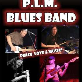 Concert PLM Blues Band in A'live Club