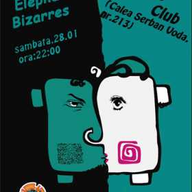 Concert Les Elephants Bizarres si Changing Skins in Ageless Club