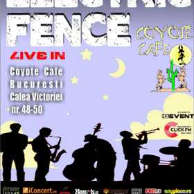 Concert Electric Fence in Coyote Cafe
