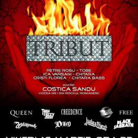 Concert Tribut Cover Band in Rock'n Regie