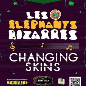 Concert Les Elephants Bizarres si Changing Skins in Club Why?Not
