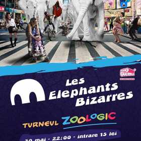 Concert Les Elephants Bizzares in Club Control