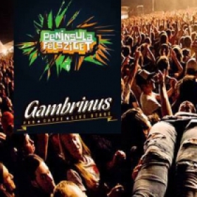 Gambrinus Cluj Rocks Stage - Peninsula / Felsziget 2013
