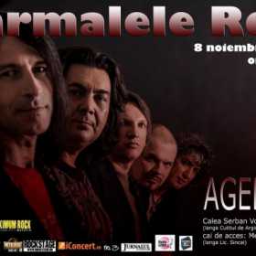 Concert Sarmalele Reci in Ageless Club