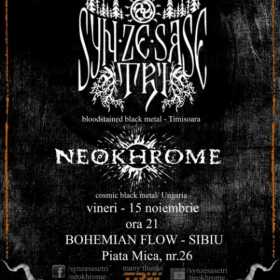 Syn Ze Sase Tri si Neokhrome - pentru prima oara la Sibiu, pe 15 noiembrie 2013