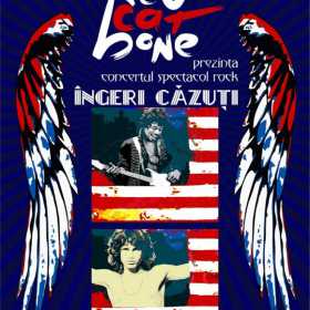 Concert rock Ingeri Cazuti cu trupa Red Cat Bone in Rock'n Regie Bar