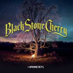 Concert Black Stone Cherry in club Quantic