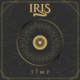 IRIS Nelu Dumitrescu a lansat single-ul TIMP
