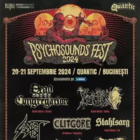 Trupe noi la Psychosounds Fest 2024