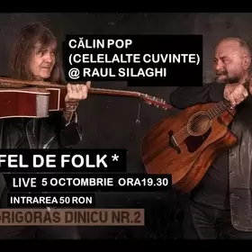 Concert Calin Pop & Raul Silaghi la Brasov - 'Un altfel de Folk'