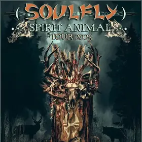 Concert Soulfly in club Quantic