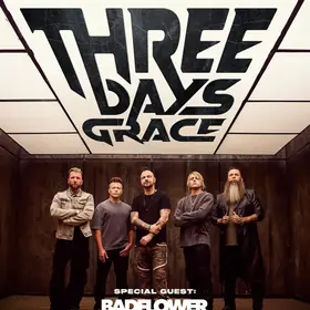 Concert Three Days Grace, Laminor Arena: Program si reguli de acces