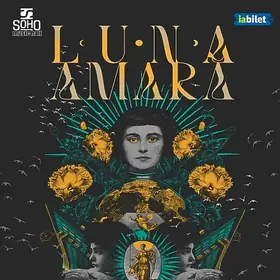 Concert Luna Amara - 25 de ani în Soho Music Hall din Bistrita