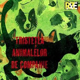 RAZE lansează T.A.C. (Tristețea Animalelor de Companie)