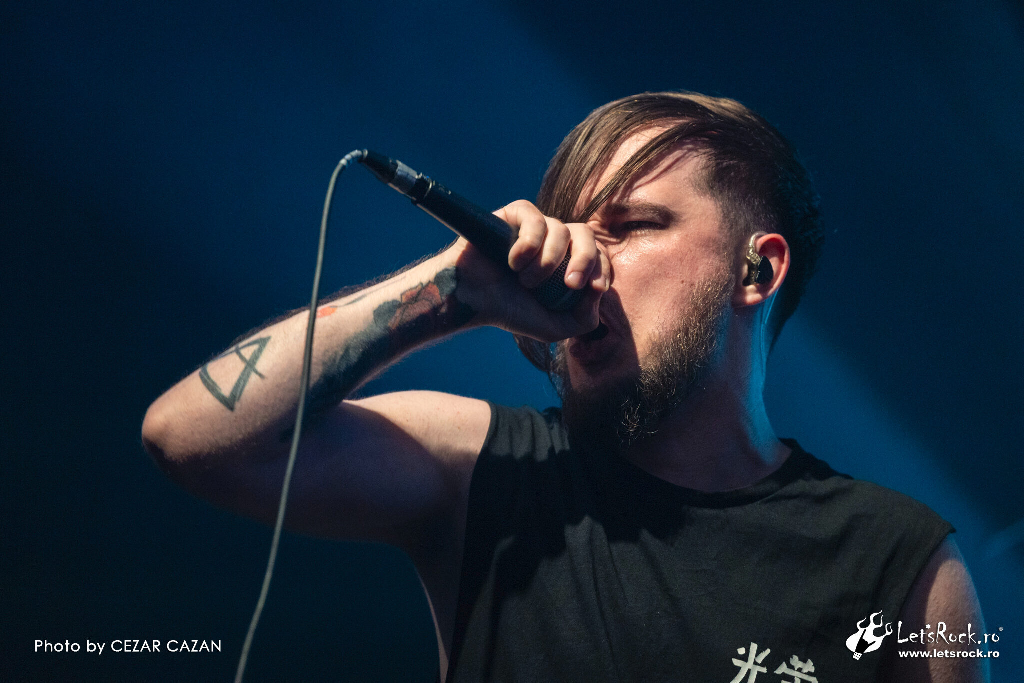 Dark Structure, Quantic