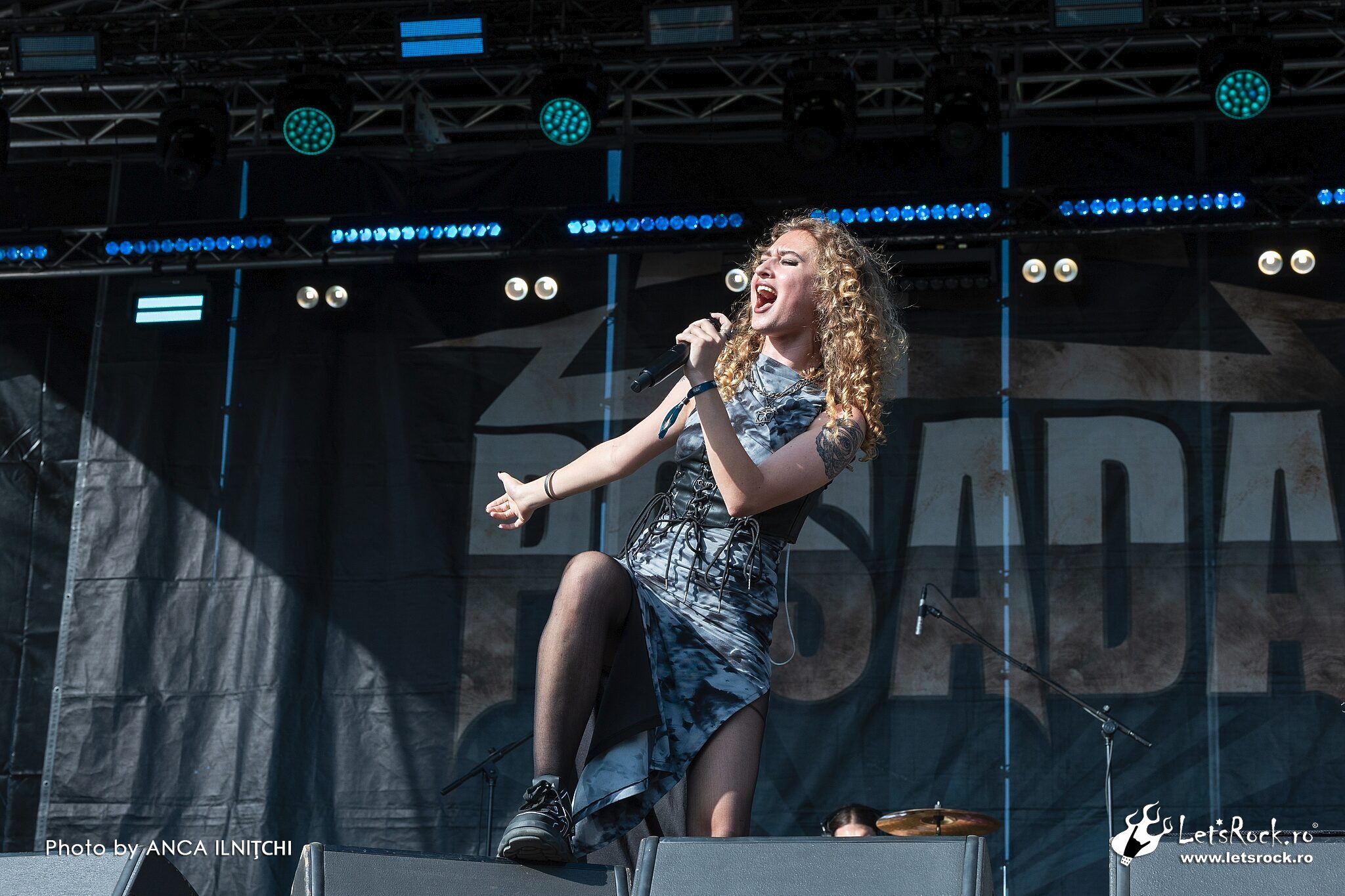 Fittonia, Posada Rock