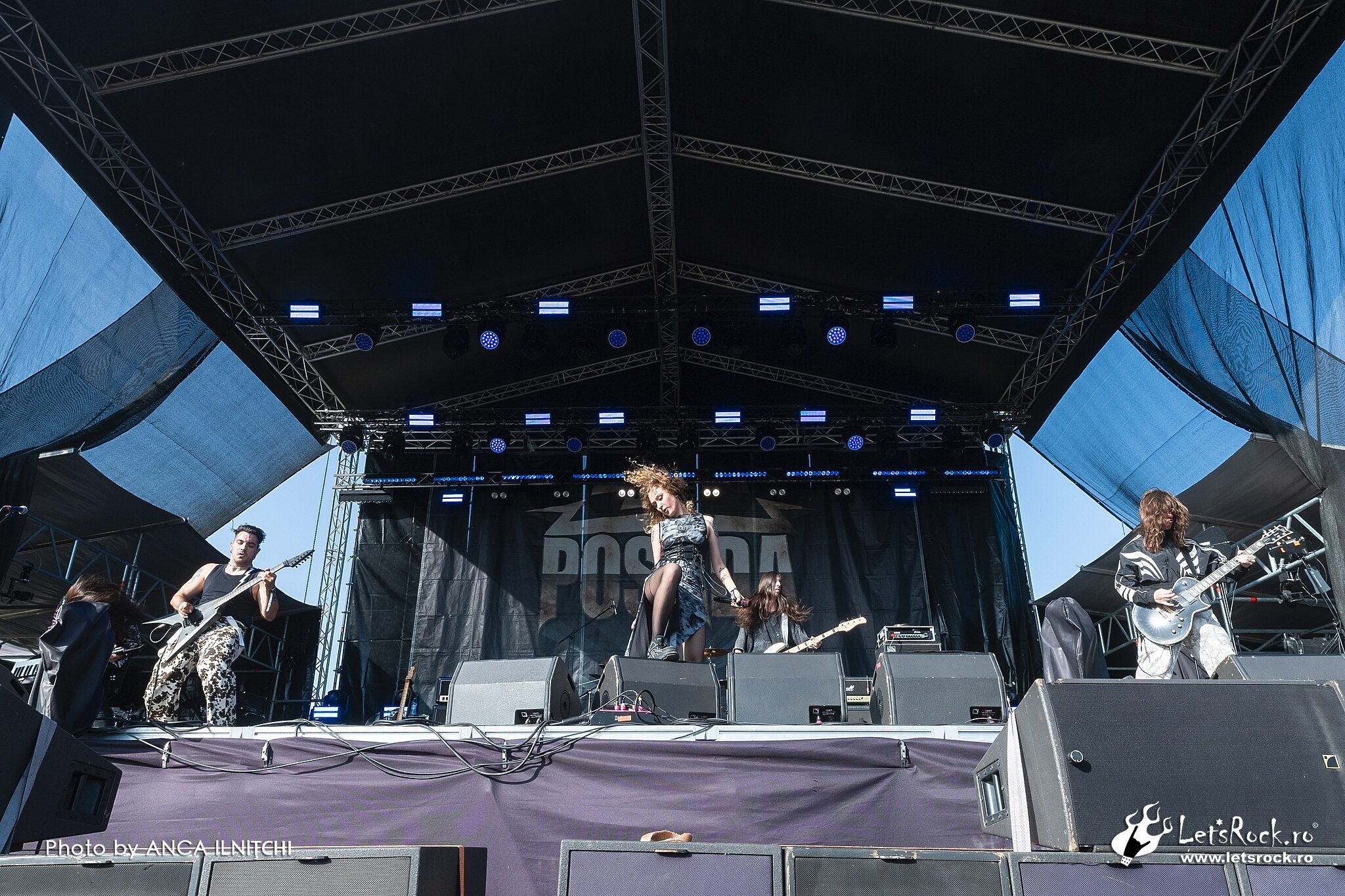 Fittonia, Posada Rock