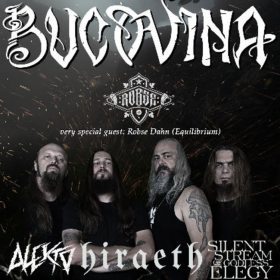 Cronică de concert Bucovina - Tradiționalul concert de Sărbători pe 14 decembrie