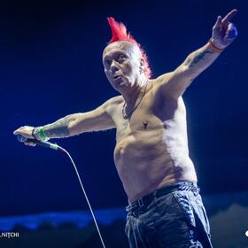 The Exploited