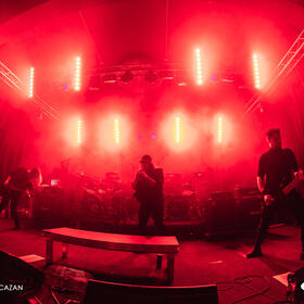 June Turns Black, Quantic