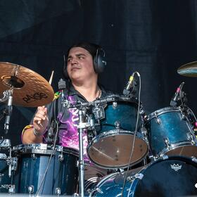 Fittonia, Posada Rock