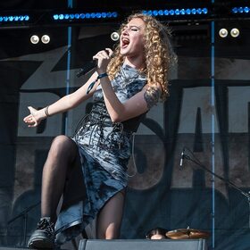 Fittonia, Posada Rock