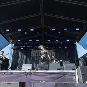 Fittonia, Posada Rock