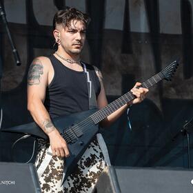 Fittonia, Posada Rock