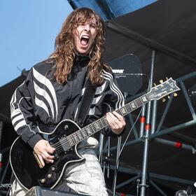 Fittonia, Posada Rock