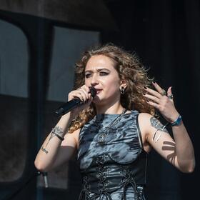 Fittonia, Posada Rock