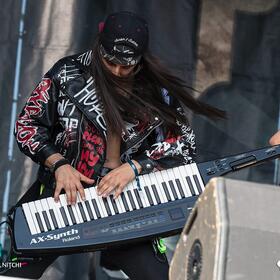 Fittonia, Posada Rock